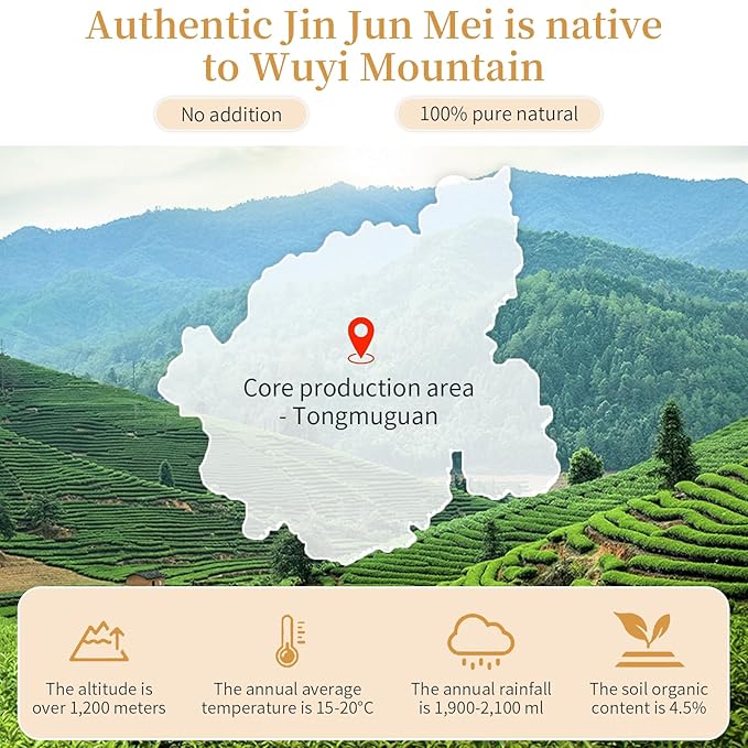 XIXICHA Black Tea Loose Leaf Jin Jun Mei Premium Golden Monkey Tea Chinese Authentic Wuyi Mountain Black Tea Golden Eyebrow Tea Nature Fruit And Honey Fragrance çº?Œ¶ ?¹级?‘骏??ä¸?›½?Ÿ夫??4.23oz /120g