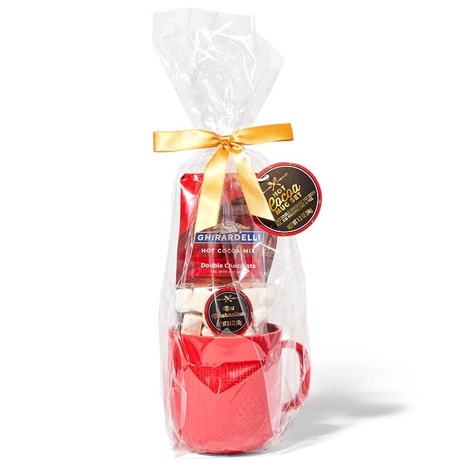 Hot Chocolate Gift Set Made with Ghirardelli, Includes 1 Single-Serve Packet of Ghirardelli Double Chocolate Hot Cocoa Mix, 1 Pack of Mini Marshmallows, and Ceramic Mug, Gourmet Hot Cocoa Gift Set, Valentine's Day