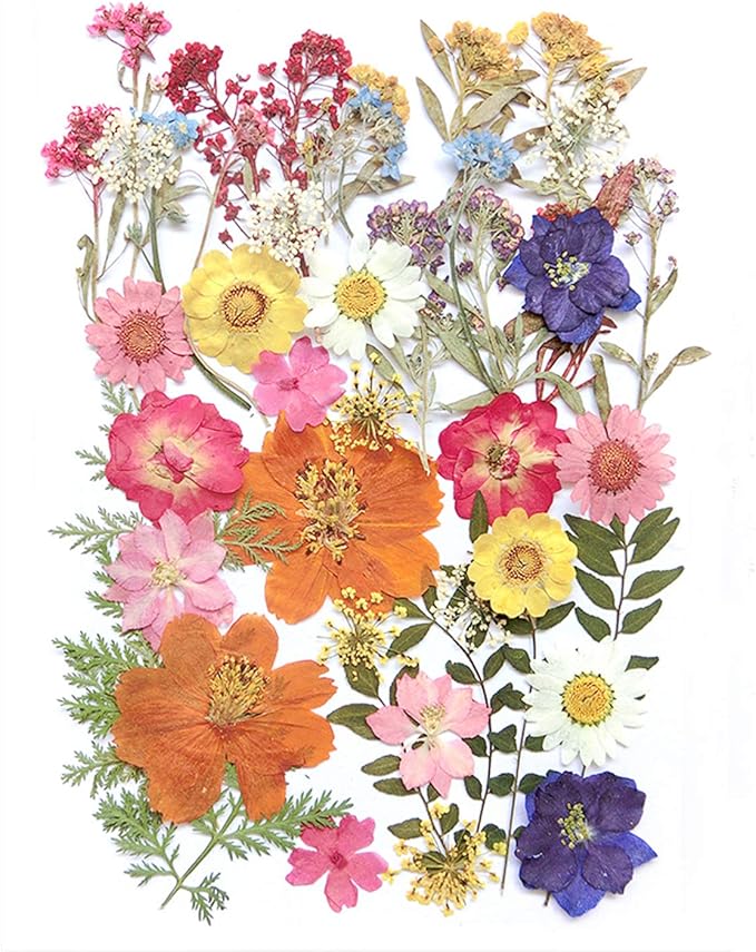 17 Types 48PCS Real Dried Pressed Flowers Leaf Plant Herbarium for DIY Resin Jewelry Making Floral Decors(Colorful)