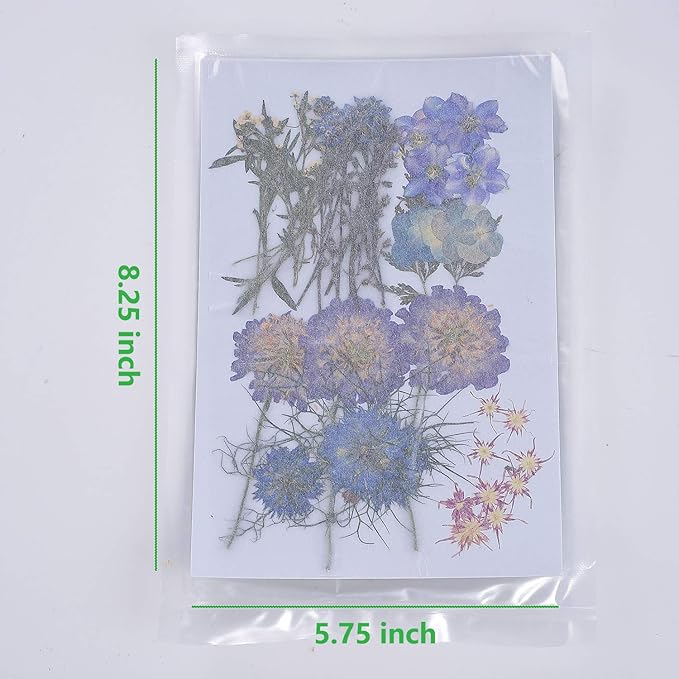 8 Types 46pcs Real Dried Pressed Flowers Leaf Plant Herbarium for DIY Resin Jewelry Making Floral Decors (Blue)