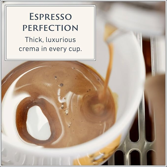 Filicori Zecchini Italian Espresso Beans ??Whole Bean Coffee, Bold Dark Roast Arabica & Robusta Blend Roasted in Bologna ??Slow Roasted Forte 340g