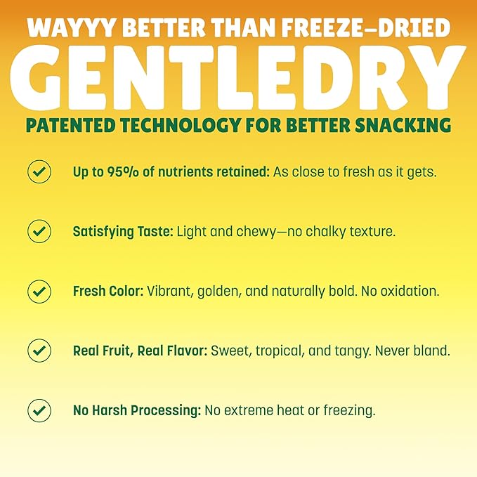 BranchOut Cinnamon Churro Banana Slices, Chewy & Full of Flavor, GentleDry, Better than Freeze Dried Banana Chips, Delicious Vegan Fruit Snacks for Kids & Adults, 2 oz Snack Size (Pack of 4)