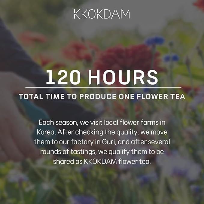 KKOKDAM Kombucha Tea - Grapefruit & Hibiscus Korean Tea - Kombucha Drinks Probiotic Support, Low Calorie, Sugar Free Kombucha Pack - 15 Packs