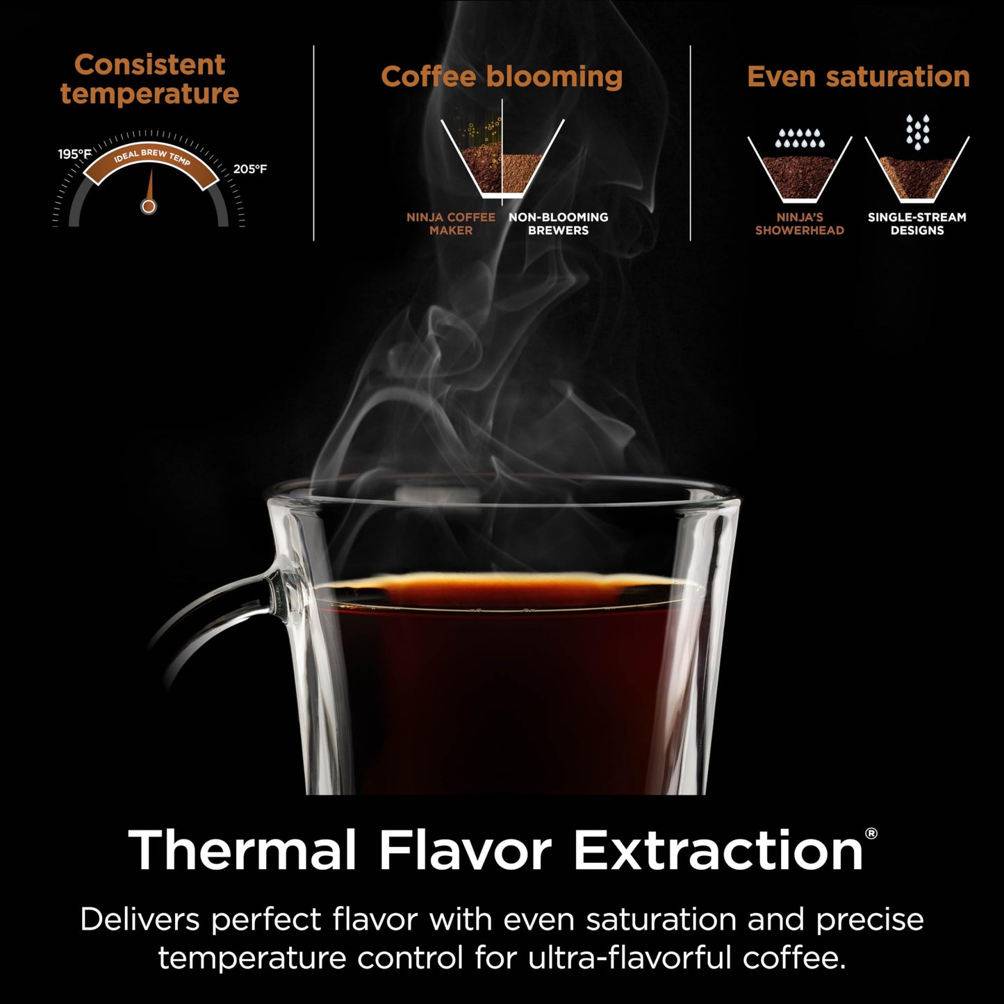 Ninja Hot & Iced XL Coffee Maker with Rapid Cold Brew, Black, CM371