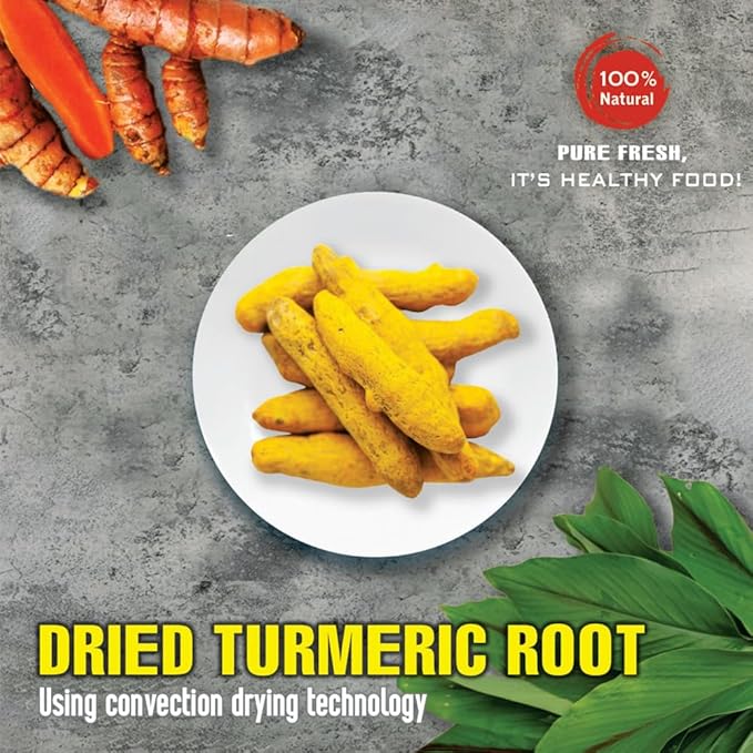 DRIED TURMERIC ROOT 5.29 Oz (150g) VIETFARMFOOD: Natural pure, convection dried seasoning made from real vegetables - perfect for adding flavor to any meal, from cooking, baking, salads, soups, sauces