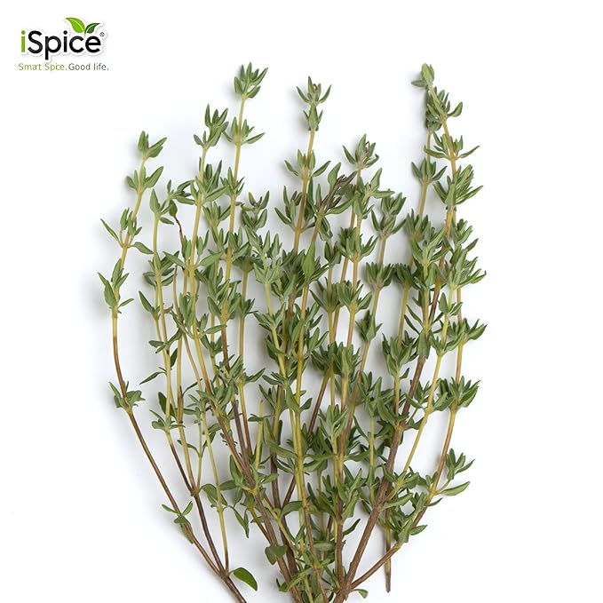 iSpice Thyme fresh Seasonings and Spices for Cooking, 3.3 Ounce dried thyme herb Seasoning, Fine Ground thyme fresh thyme dry Seasoning (93g - Pack Of 1) | iSpice