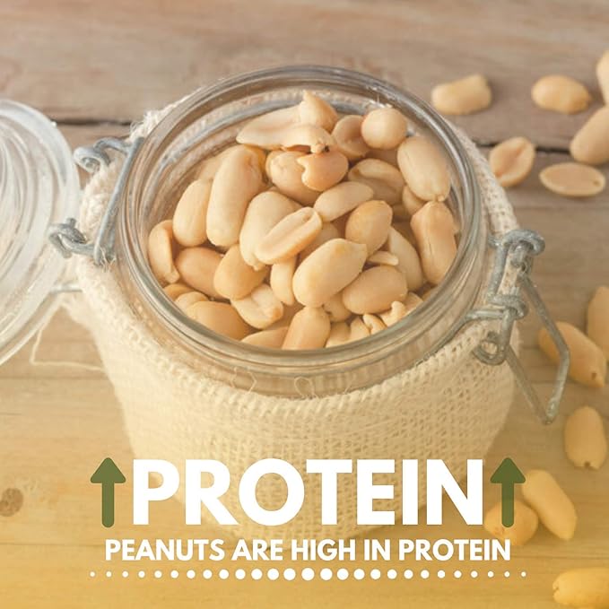 Peanuts Dry Roasted Unsalted, Blanched, 5 Pound Bulk Bag - We Got Nuts,