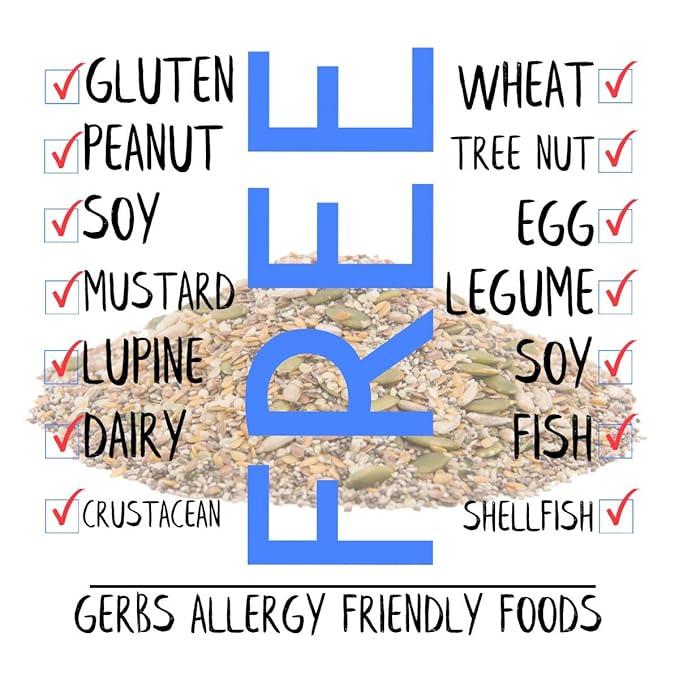 GERBS Raw Super 7 Seed Snack Trail Mix 1 LBS. | Top 14 Food Allergy Free | Resealable Bulk Bag | Made in USA | Raw Pumpkin | Sunflower | Brown & Golden Flax | Black & White Chia | Hemp | Gluten Free