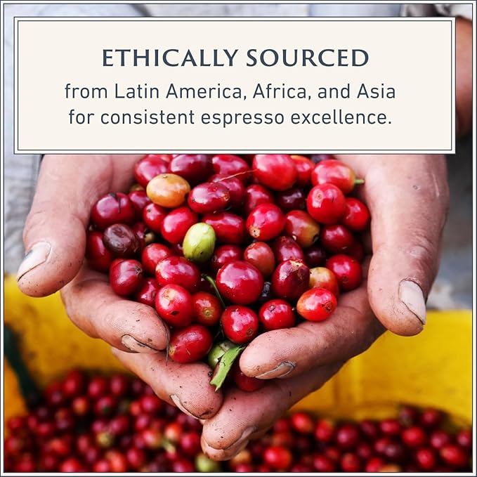 Filicori Zecchini Italian Espresso Beans ??Whole Bean Coffee Medium Roast Arabica & Robusta Blend ??Low Acidity, Slow Roasted ??Delicato 340g
