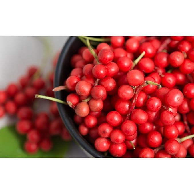 GAGOPA Dried Schisandra Berries (Omija) ??100% Korean Five Flavor Berry, Tart & Refreshing Herbal Tea Ingredient, Caffeine-Free, 100g Pack