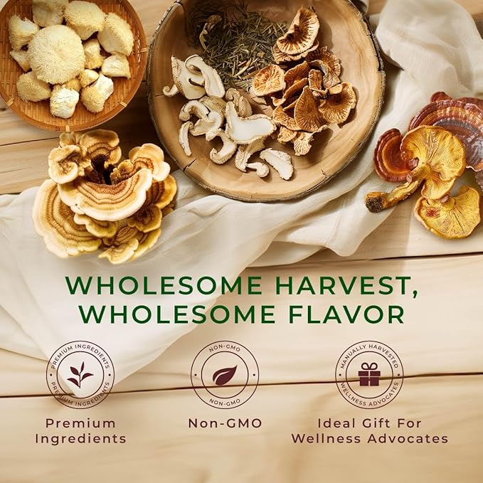 Gya Tea Co Mushroom Medley Collection Tea Gift Set (16 ct) - Tea Pod Assorted Variety Pack with Reishi, Lion's Mane, Turkey Tail, Chai for Nourish & Wellness