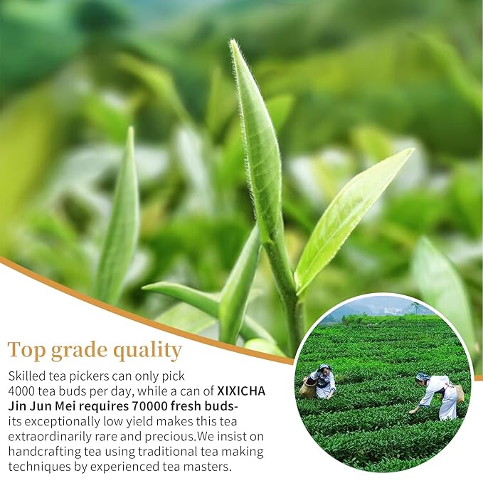XIXICHA Black Tea Loose Leaf Jin Jun Mei Premium Golden Monkey Tea Chinese Authentic Wuyi Mountain Black Tea Golden Eyebrow Tea Nature Fruit And Honey Fragrance çº?Œ¶ ?¹级?‘骏??ä¸?›½?Ÿ夫??4.23oz /120g