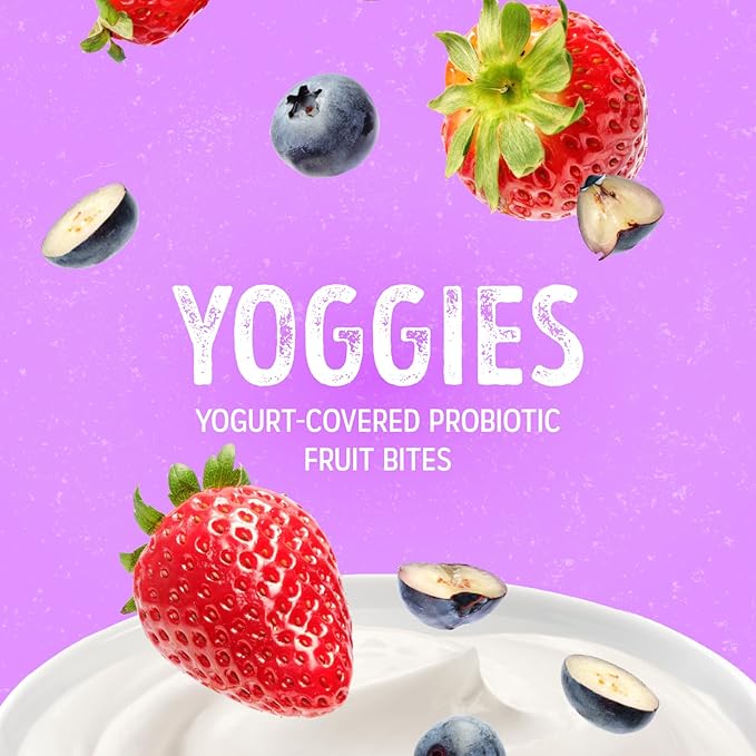 Nature's Garden Probiotic Mixed Berry Yoggies 12 x 0.7oz (Pack of 4) Yogurt Covered Fruit Snacks, High Fiber, Real Fruit Pieces, Office Snack Variety Packs For Adults, No Artificial Flavors or Colors, Gluten Free