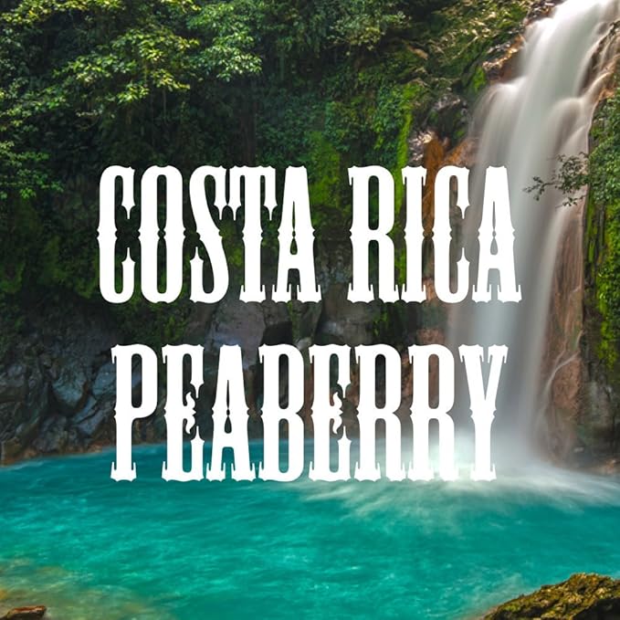 Costa Rica Peaberry Coffee, Ground, Medium Roast, Fresh Roasted, 16-ounce