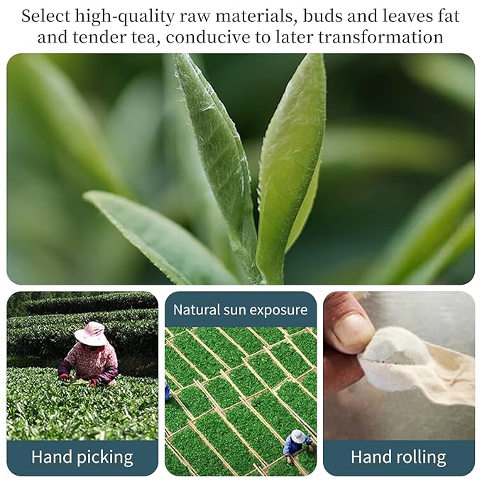 XIXICHA Shou Mei White Tea Pearls Tea Aged White Tea Dragon Pearls Tea Shoumei Tea Fuding White Tea Balls Chinese Tea White Bai Cha Long Zhu 白茶 寿眉 老白茶 福鼎白茶 寿眉龙珠