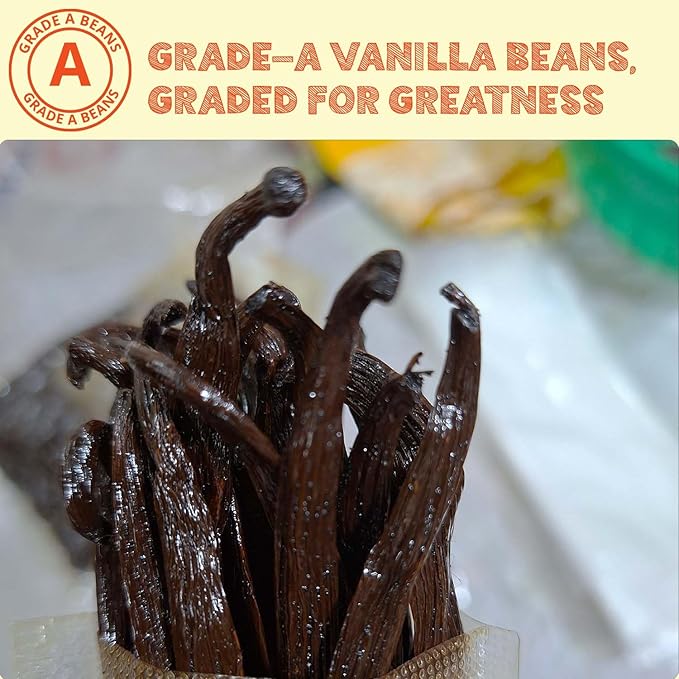1 LB Bulk Vanilla Beans Grade A + | Vanilla Bean Pods For Making Vanilla Extract | Non-GMO | Premium Natural Vanilla beans For Baking, Cooking, Desserts | 6-8 Inches | NY Vanilla.