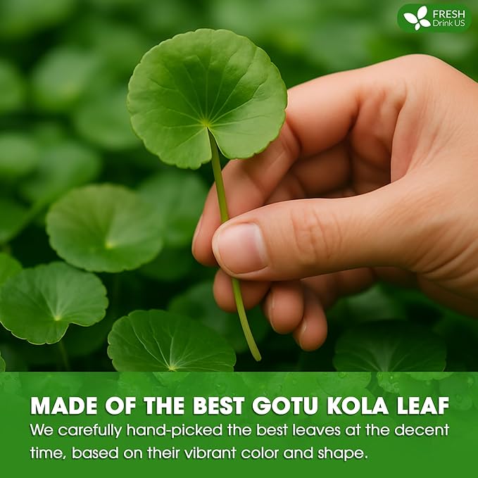 FreshDrinkUS, Premium Gotu Kola Leaf Tea ??40 Tea Bags | Pure Dried Centella Asiatica Leaves | Naturally Caffeine-Free Herbal Tea | Refreshing Aroma & Smooth Taste | Premium Herbal Infusion. Vegan