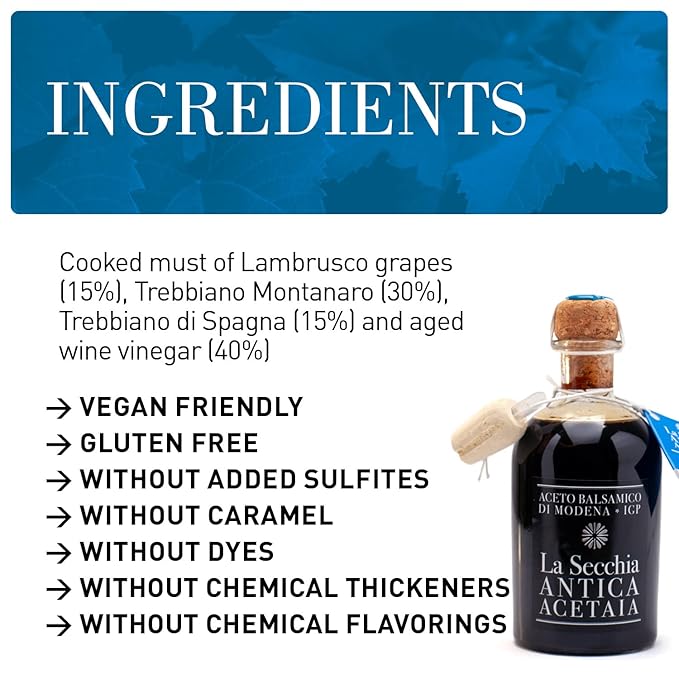 La Secchia Balsamic Vinegar of Modena PGI "Three Stars", Aged in 12 Cherry-Mulberry Barrels, Medium Density, 250 ml Bottle with Cork Pourer