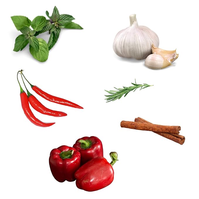 iSpice Starter Spice Set- Seasonings for Cooking, Spices and Seasonings Sets, Spices Variety Pack, Cooking Gifts for Men Home Basic Spice Set | Chef Naturelle (Pack of 12)??,<div>
