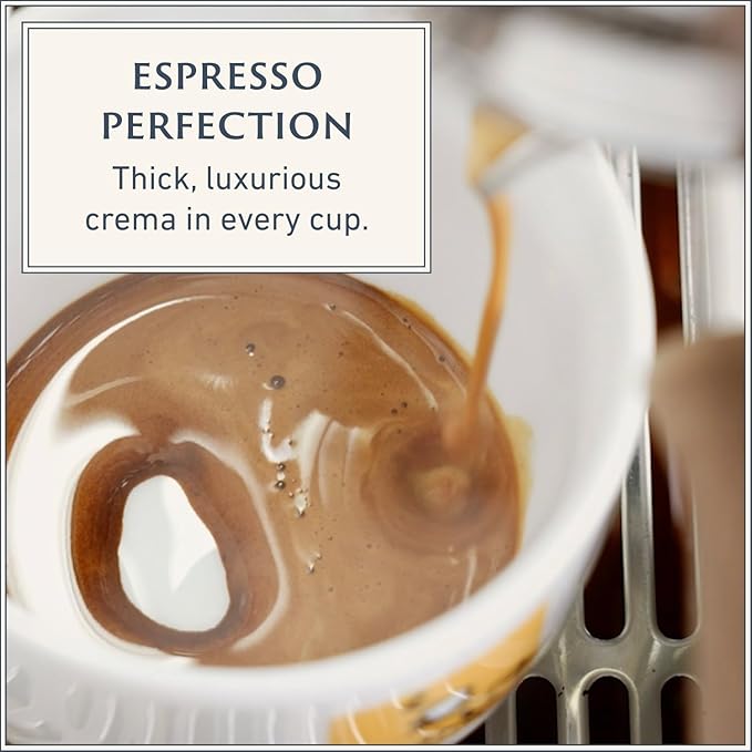Filicori Zecchini Italian Espresso Beans ??Whole Bean Coffee Medium Roast Arabica & Robusta Blend ??Low Acidity, Slow Roasted ??Delicato 340g