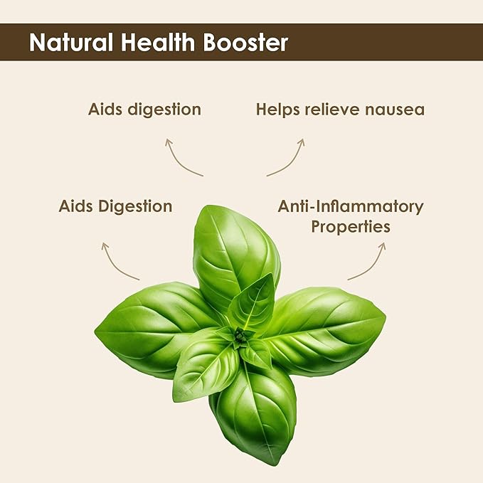Organic Basil Leaves 4.23 oz – Dried Basil Seasoning with Fresh Flavor – USDA Organic, Kosher, Gluten Free – The Holly Tree