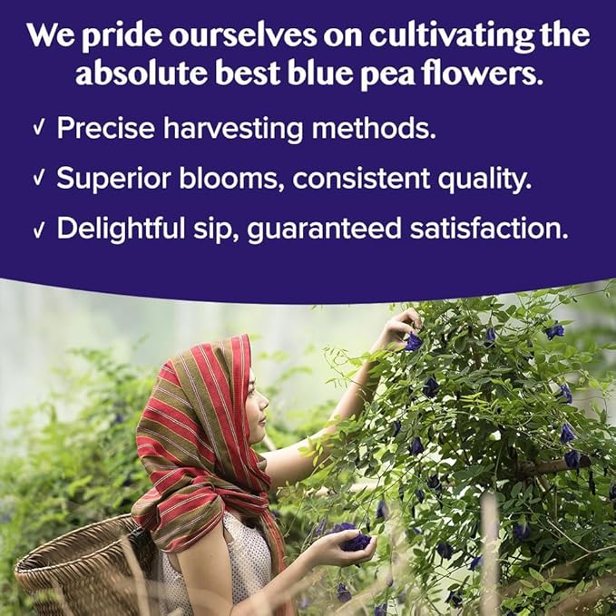 VAHDAM, Butterfly Pea Flower (15 Pyramid Bags) Vegan, Non-GMO | Delicate & Earthy | Direct From Source ??Plant-Based Biodegradable | Brew Iced Tea, Cooking, Mocktails & Cocktails