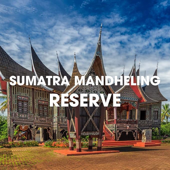 Sumatra Mandheling Reserve Coffee, USDA Organic, Dark Roast, Ground, Fair Trade, 5 lbs