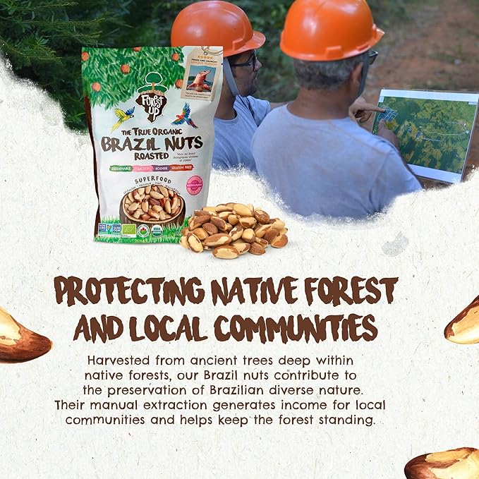 Snack The True Organic Brazil Nuts 32oz-2lbs – Roasted & Himalayan Salt – Kosher – Healthy-Rich in Vegetable Protein – From Amazon Rainforest – Fresh, Vegan, Gluten-Free and Oil Free – Forest Up