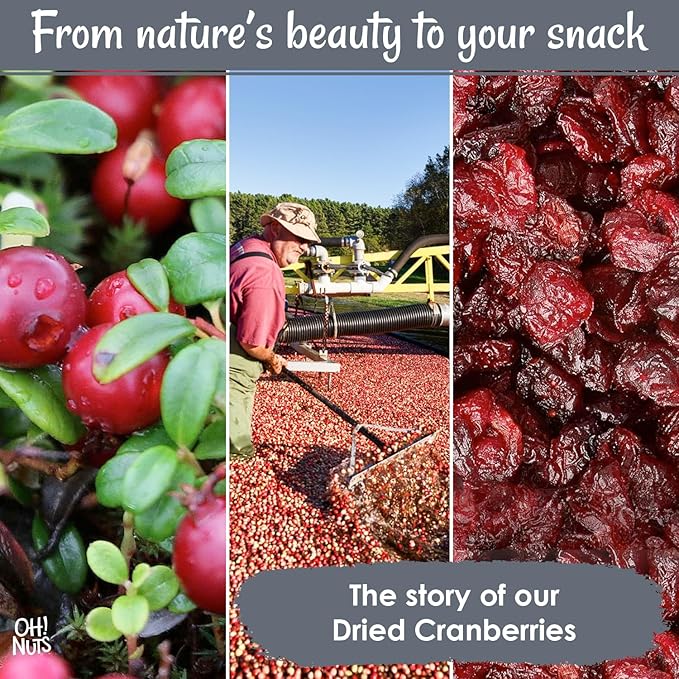 Oh! Nuts Dried Cranberries - 2 lb - Sweetened Dried Fruit - Packed in New York Zip-Seal Bag for Exceptional Freshness