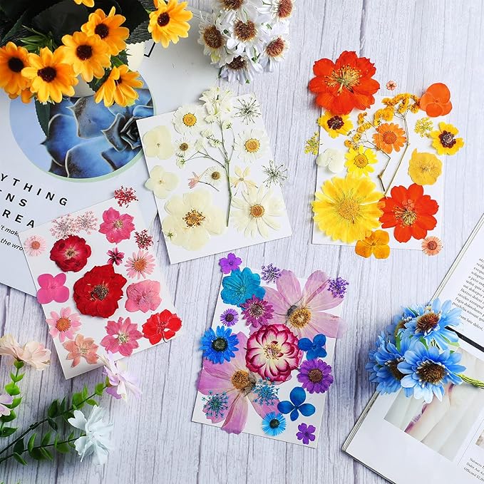 Nuanchu Pressed Flowers Bulk Dried Flower for Crafts, Dried Wildflowers Leave Natural with Tweezer for Resin Mold Scrapbooking Nail Soap Making DIY(Artsy??Style,Diverse Color)