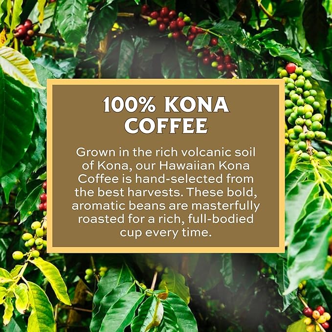 Lion Coffee 24K Gold Roast 100% Kona Whole Bean Coffee, Medium-Light Roast, A Taste of Aloha - 7 Ounce Bag