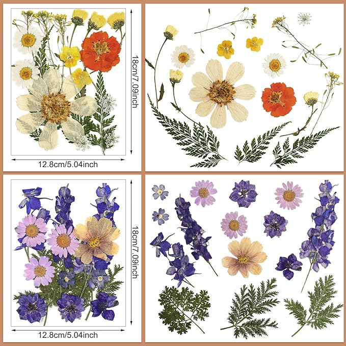 Nuanchu Pressed Flowers Bulk Dried Flower for Crafts, Dried Wildflowers Leave Natural with Tweezer for Resin Mold Scrapbooking Nail Soap Making DIY(Boho Style,Light Color)