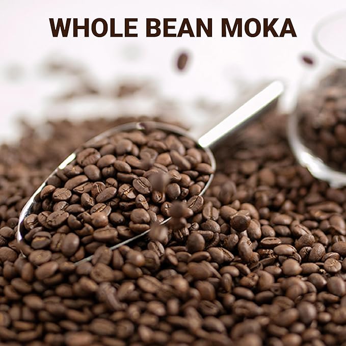 doanhdang - 17 Oz Premium Moka Whole Bean Coffee, 100% Medium Roast, Rich Flavor for Espresso Shot and Brew, Origin from Vietnam, Whole Med Roast Beans, Pack of 1, Phin Filter Included