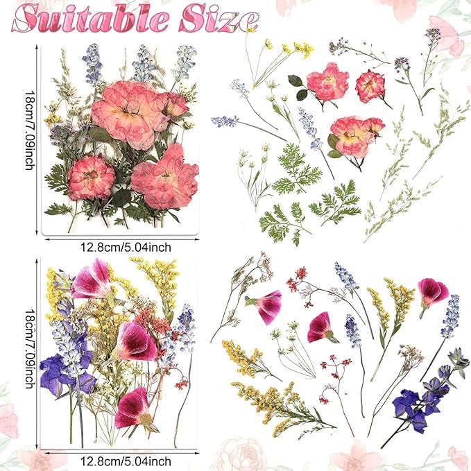 Nuanchu Pressed Flowers Bulk Dried Flower for Crafts, Dried Wildflowers Leave Natural with Tweezer for Resin Mold Scrapbooking Nail Soap Making DIY(Gorgeous Style,Multi Color)