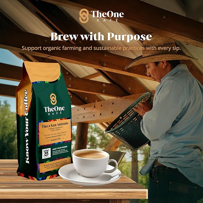 TheOne Kafé Guatemala Medium Roast Ground Coffee ??Organic, Single Origin, Premium Specialty Coffee, Ethically Sourced, Smooth & Rich Flavor ??Fresh Roasted for Espresso, Drip, Pour Over ??12 oz