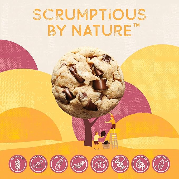 Autumn Sons Baking Co. Gluten Free Chocolate Chunk Cookie Mix. Vegan Plant Based Baking Mix. Free From 11 Common Allergens. Dairy Free, Nut Free, Soy Free, Non GMO 9.3 oz (Pack of 3)