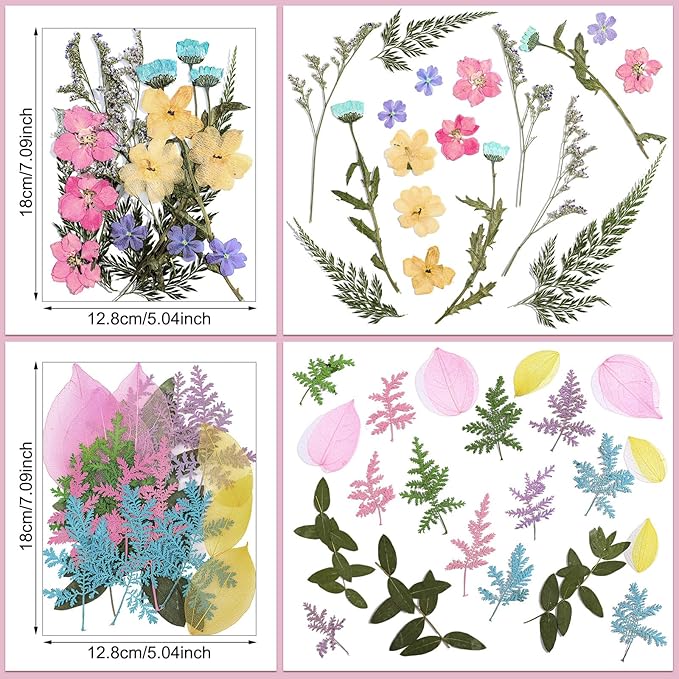 Nuanchu Pressed Flowers Bulk Dried Flower for Crafts, Dried Wildflowers Leave Natural with Tweezer for Resin Mold Scrapbooking Nail Soap Making DIY(Pastel Style,Pastel Color)