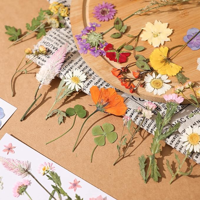 Nuanchu Pressed Flowers Bulk Dried Flower for Crafts, Dried Wildflowers Leave Natural with Tweezer for Resin Mold Scrapbooking Nail Soap Making DIY(Pretty Style,Mild Color)