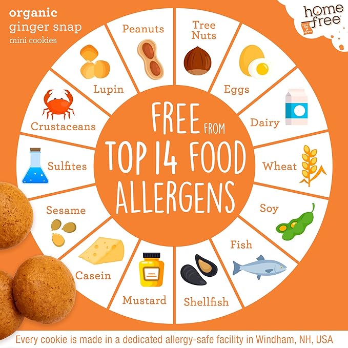 Homefree Mini Ginger Snap Cookies, Gluten Free, Nut Free, Vegan, School Safe and Allergy Friendly Snack, 5 oz. (Pack of 1)