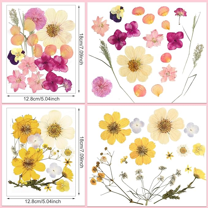 Nuanchu Pressed Flowers Bulk Dried Flower for Crafts, Dried Wildflowers Leave Natural with Tweezer for Resin Mold Scrapbooking Nail Soap Making DIY (Watercolor Style,Romantic Color)