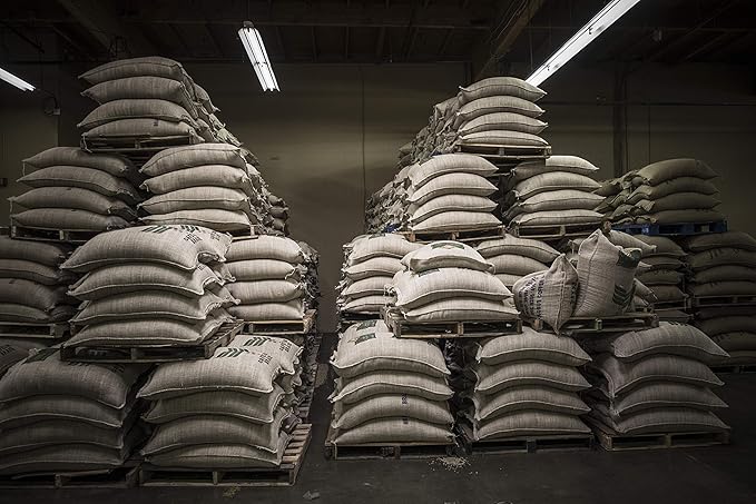 Caffe D'arte Abruzzo Ground Coffee, Medium Roast, Earthy & Winey Notes, Crafted for Drip, 1 Pound Bag, Pack of 2 ??Fresh Roasted in Seattle