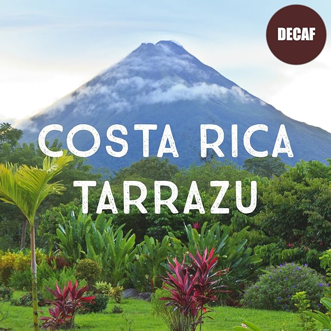 Costa Rican Decaf Tarrazu Coffee, Ground, Swiss Water Processed, Rainforest Certified, Fresh Roasted, 16-ounce