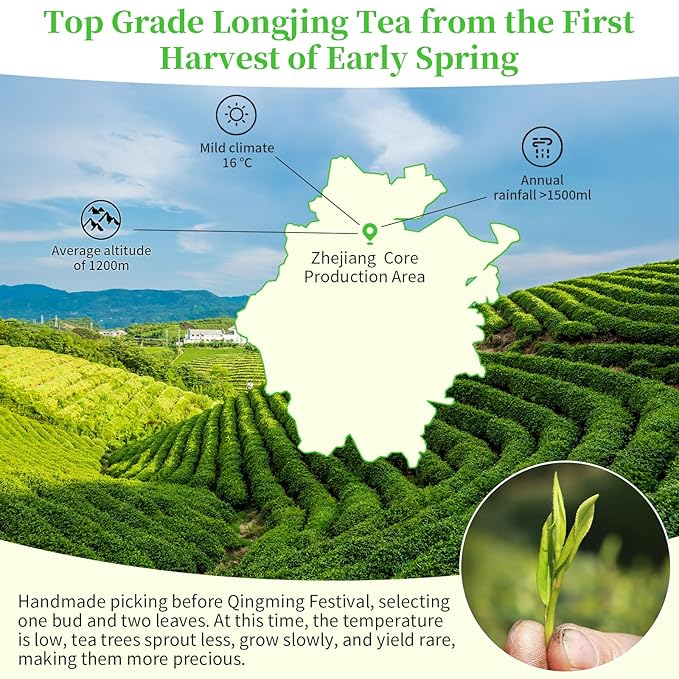 XIXICHA Longjing Tea New Tea Grade AAA Dragon Well Green Tea Loose Leaf Hangzhou Dragonwell Chinese Green Tea Fresh Bean Aroma 榕쇾?????š¤???롥뎺榕쇾????¹뤆 4.23oz/120g