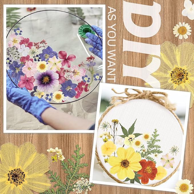 Nuanchu Pressed Flowers Bulk Dried Flower for Crafts, Dried Wildflowers Leave Natural with Tweezer for Resin Mold Scrapbooking Nail Soap Making DIY(Fashion Style,Trend Color)