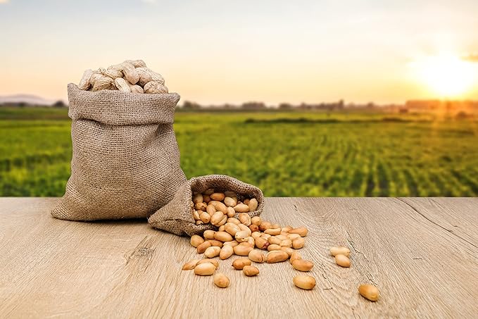 Fruidles Raw Peanuts, Raw Peanuts in Shell, Great for Boiling, Squirrels Feed, Birds Feed and Wildlife, 2 Pound Bag