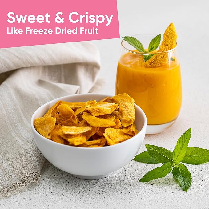 Yammy Dried Mango Chips Like Freeze Dried Fruit, No Sugar Added 1 Ingredient Healthy Snack for Adults Kids, Unsweetened Dry Slices of Mangoes, 3g Fiber, Low Calorie Vegan Gluten Free, 3.9oz Value Size
