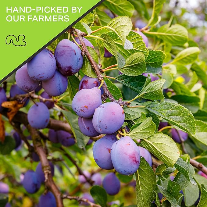 NUT CRAVINGS - Dried Prunes Pitted Unsweetened, Dry Plums No Sugar Added, Unsulphured (16oz, 1 LB) Bulk Dry Fruits Packed Fresh in Resealable Bag - Sweet Healthy Snack, Naturally Grown, Vegan, Kosher