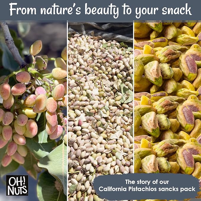 Oh! Nuts Pistachios No Shell - Roasted Salted - 1 lb - Shelled California Pistachios - Packed in New York Zip-Seal Bag for Exceptional Freshness
