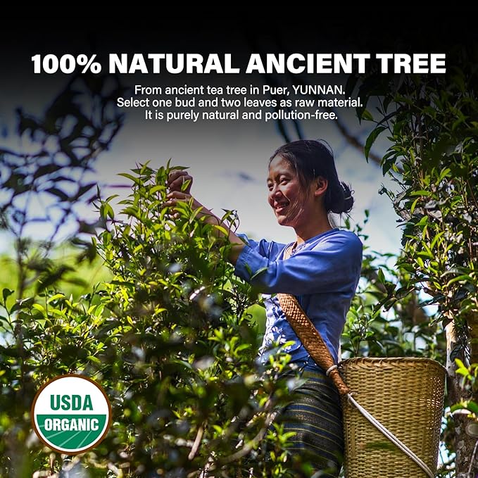 YUANSHENG Organic Puerh Tea Cake, Yunnan Ancient Tree Ripe Pu-erh Tea Cake, Rich Smooth and Mellow, Individually Wrapped, Aged Fermented tea, Perfect for Gifting, Collection, Daily Brewing 5.29 Oz