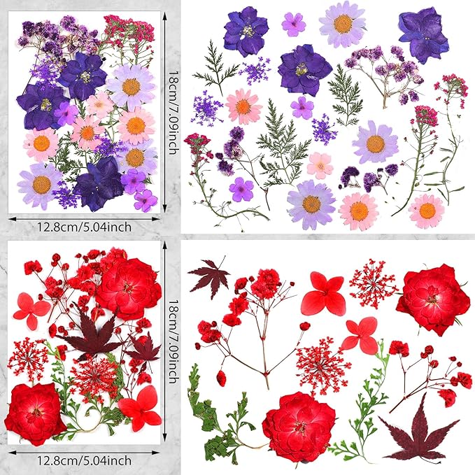 Nuanchu Pressed Flowers Bulk Dried Flower for Crafts, Dried Wildflowers Leave Natural with Tweezer for Resin Mold Scrapbooking Nail Soap Making DIY(Gentle Style,Lively Color)